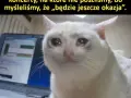 Memy o biodrówkach: Trauma Milenialsów i powrót Y2K