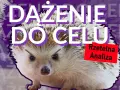 Dokąd nocą tupta jeż? Geneza i fenomen mema