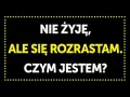 Gotowe zagadki z odpowiedziami: Rozrywka i trening umysłu