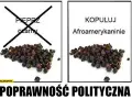 Pieprz czarny mem: Geneza, znaczenie i najśmieszniejsze przykłady