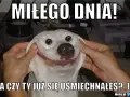 Memy na miły dzień: Gotowe obrazki i GIF-y do wysłania