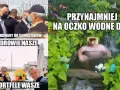Oczko Wodne Mem: Geneza, Humor i Dlaczego Wciąż Bawi?