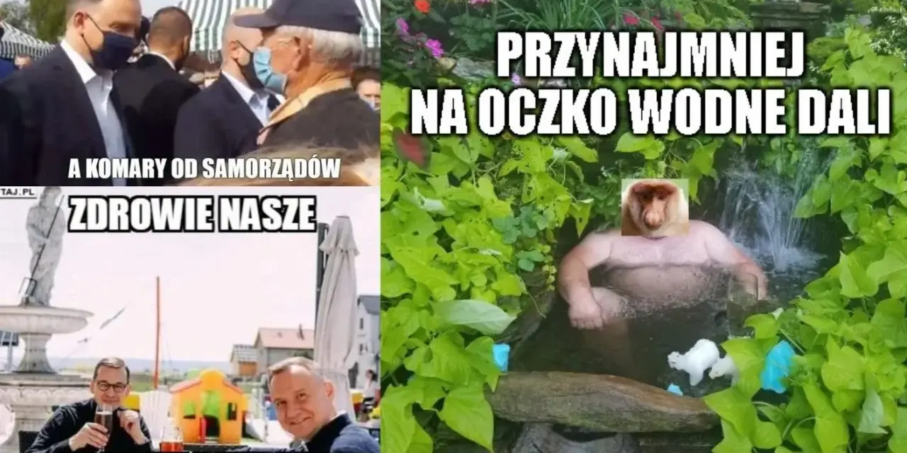 Oczko Wodne Mem: Geneza, Humor i Dlaczego Wciąż Bawi?