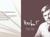 Skąd się wzięły koty? Legenda E. Lechowicz i tajemnica autorki