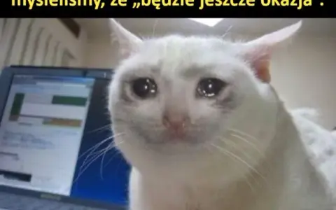 Memy o biodrówkach: Trauma Milenialsów i powrót Y2K