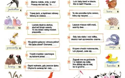 Zagadki dla 6-latka: Rozwój i zabawa gotowe przykłady