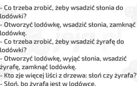 Zagadka o słoniu w lodówce: Rozwiązanie krok po kroku