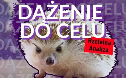 Dokąd nocą tupta jeż? Geneza i fenomen mema