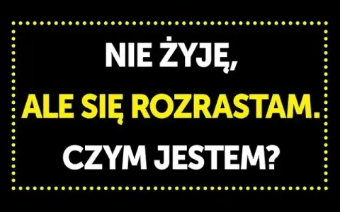 Gotowe zagadki z odpowiedziami: Rozrywka i trening umysłu