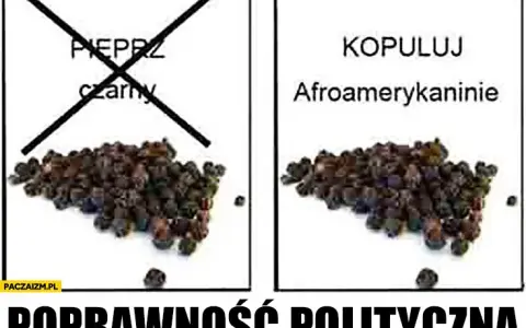 Pieprz czarny mem: Geneza, znaczenie i najśmieszniejsze przykłady