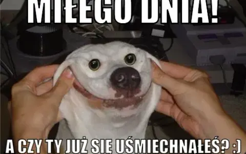 Memy na miły dzień: Gotowe obrazki i GIF-y do wysłania