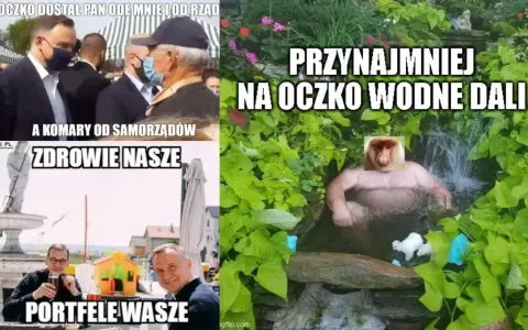 Oczko Wodne Mem: Geneza, Humor i Dlaczego Wciąż Bawi?