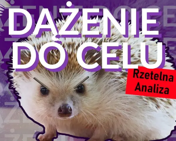 Dokąd nocą tupta jeż? Geneza i fenomen mema