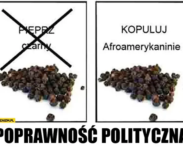 Pieprz czarny mem: Geneza, znaczenie i najśmieszniejsze przykłady