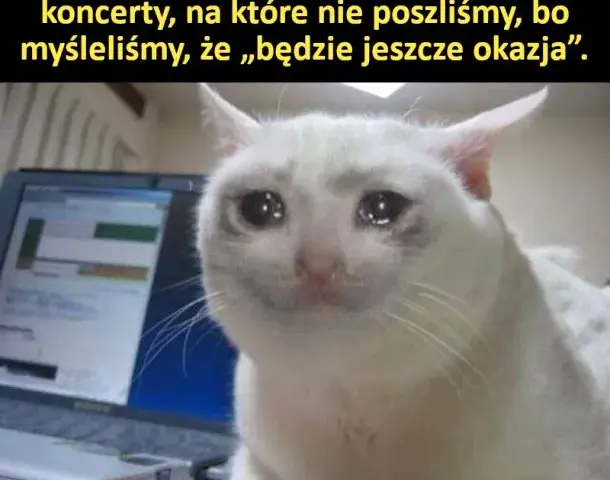 Memy o biodrówkach: Trauma Milenialsów i powrót Y2K
