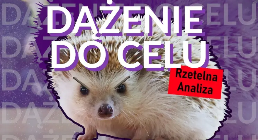 Dokąd nocą tupta jeż? Geneza i fenomen mema